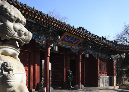 九游娱乐官方网案例五